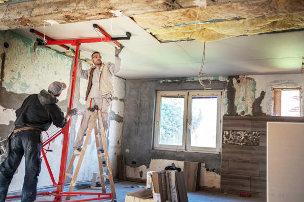Best Insulation Installation Services in Nashville, AR
